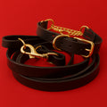 Coordinated Pair - Martingale Collar & Training Leash