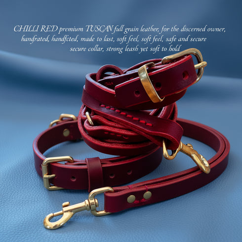 Martingale Collar for Small Dogs