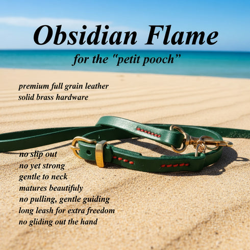 Green dog collar with brass hardware on sand, text about product features.