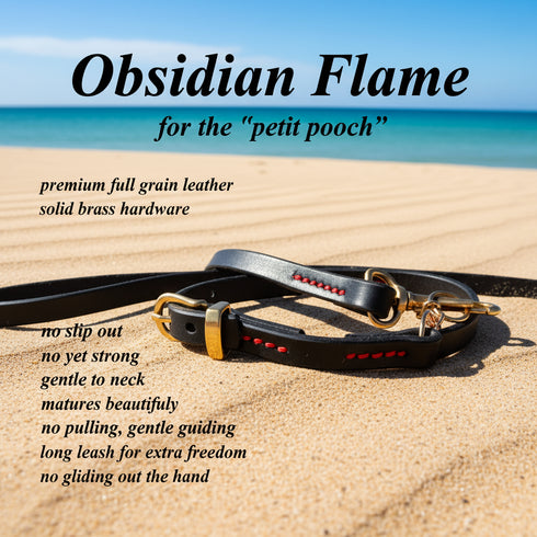 Martingale Collar for Small Dogs