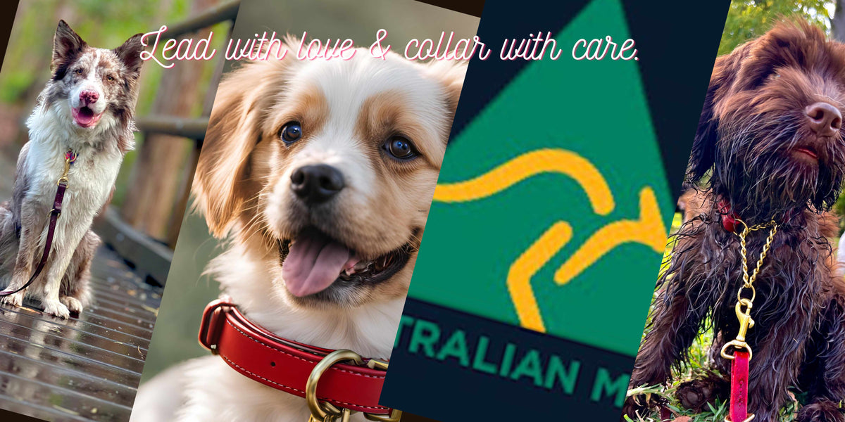 Sage Green Premium Full Grain Australian Leather Leash