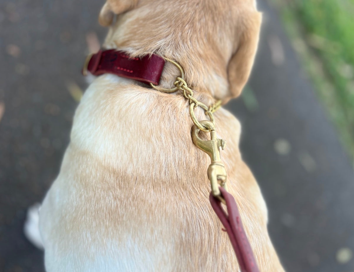 Chilli Red Tuscan Leather Martingale Collar