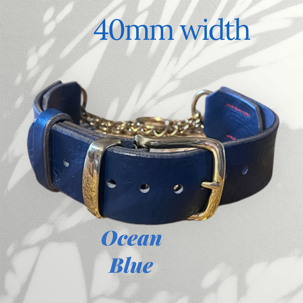 Regal Blue Tuscan Leather Martingale Collar