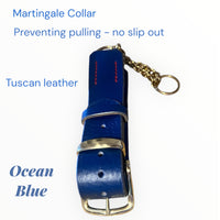 Regal Blue Tuscan Leather Martingale Collar