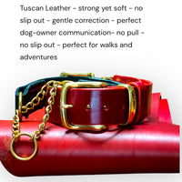 Chilli Red Tuscan Leather Martingale Collar