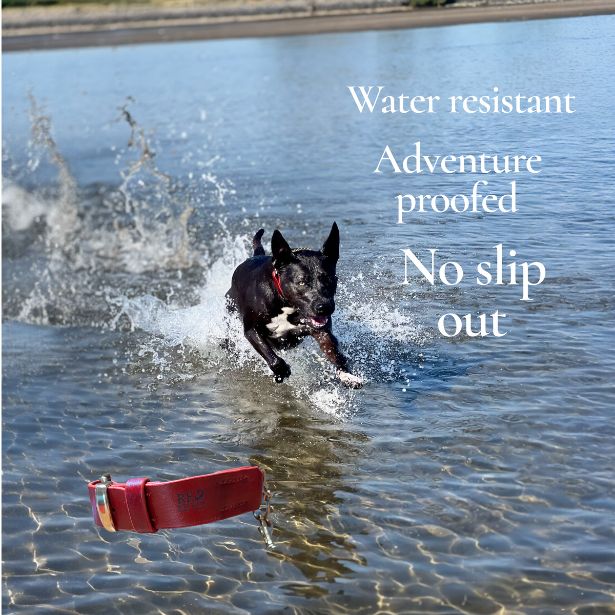 Chilli Red Tuscan Leather Martingale Collar