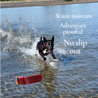 Chilli Red Tuscan Leather Martingale Collar