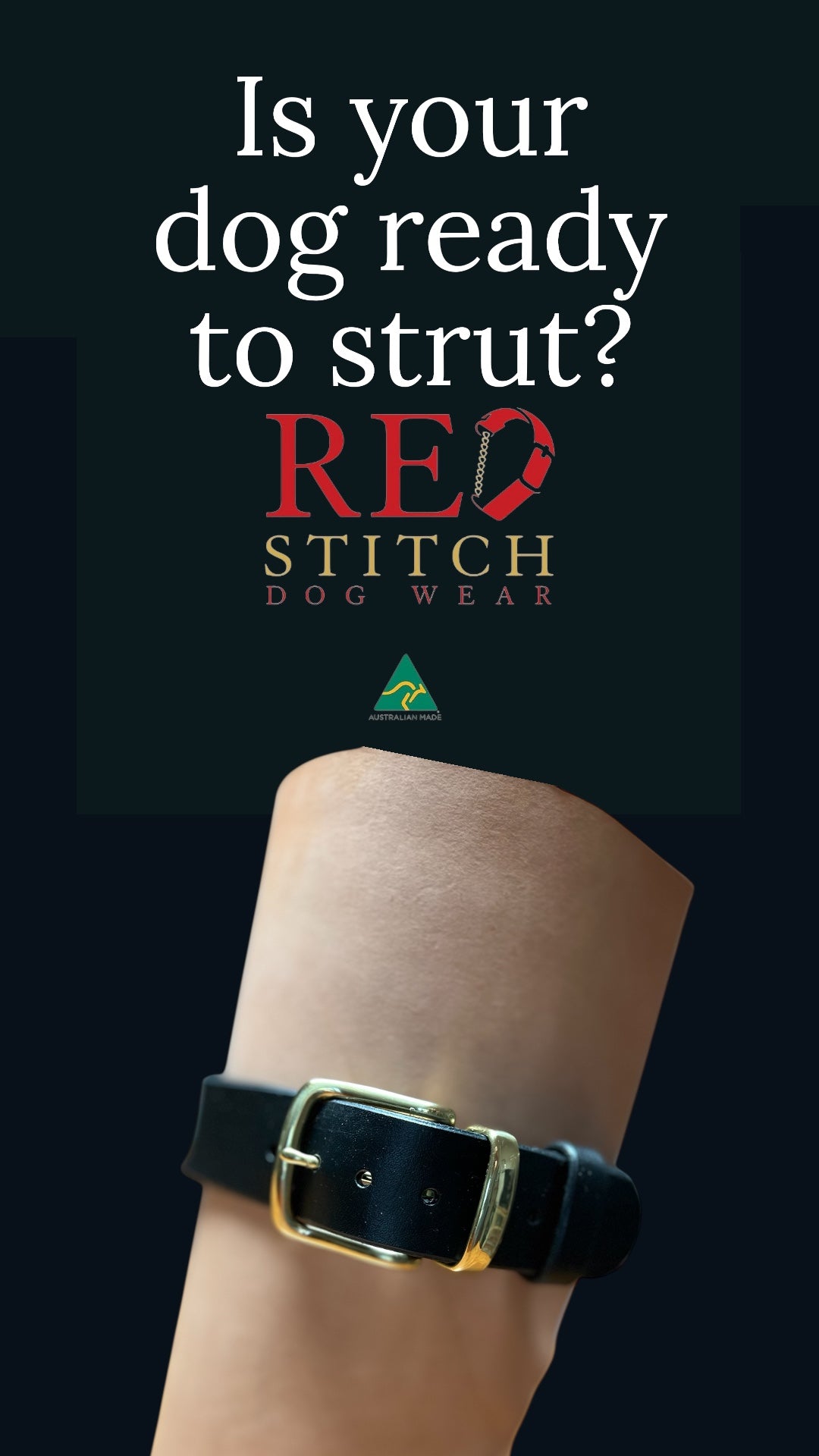 Obsidian Flame Martingale Collar