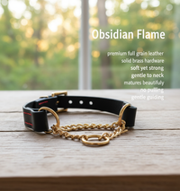 Tuscan Leather Martingale Dog Collar – 40mm | Premium for medium and large Dogs