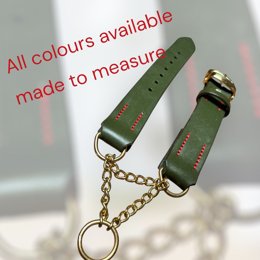 Sage Green Tuscan Leather Martingale Collar