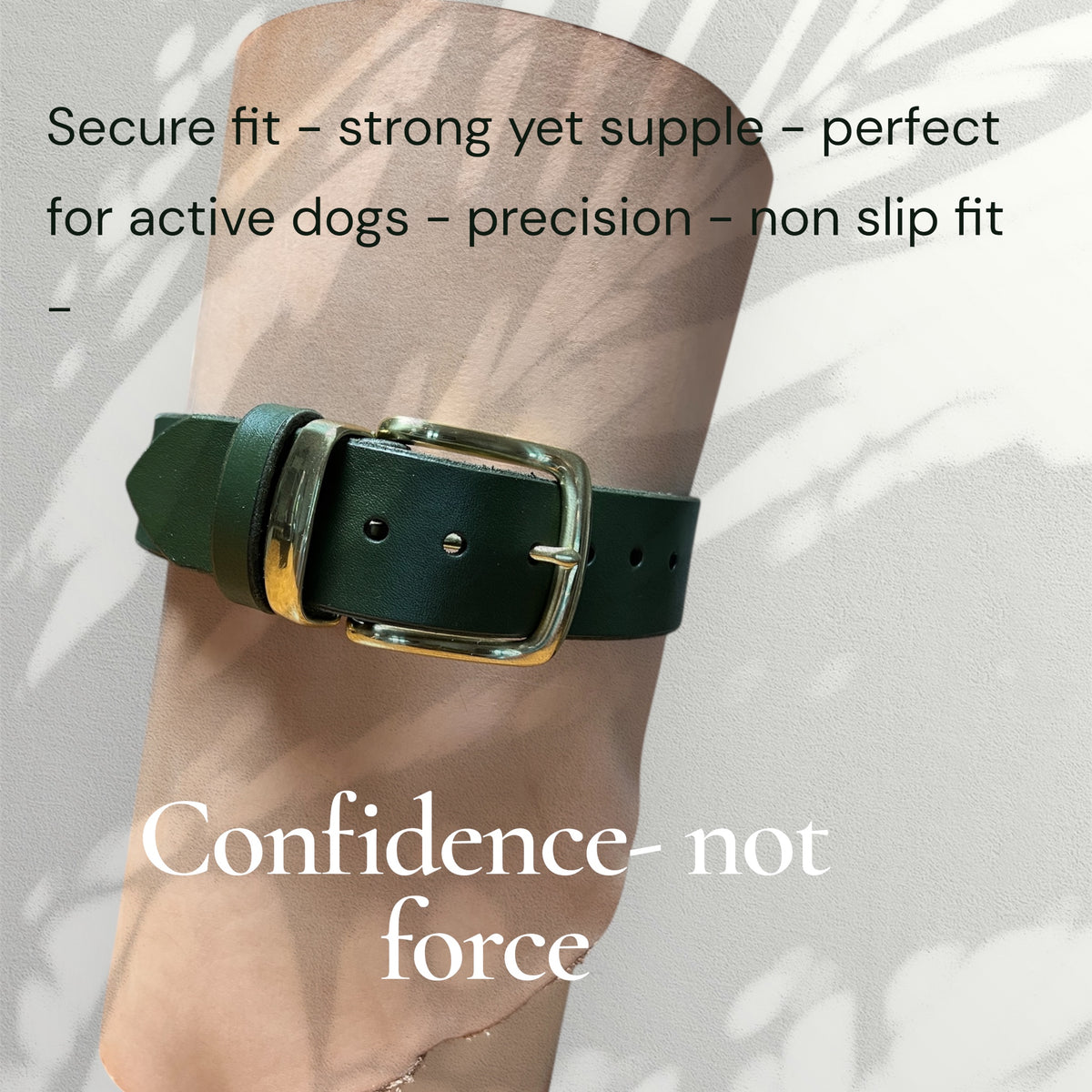 Sage Green Tuscan Leather Martingale Collar