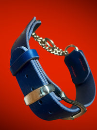 Regal Blue Tuscan Leather Martingale Collar