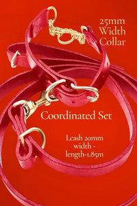 Coordinated Pair - Martingale Collar & Training Leash