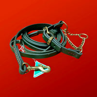 Coordinated Pair - Martingale Collar & Training Leash