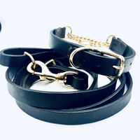 Coordinated Pair - Martingale Collar & Training Leash