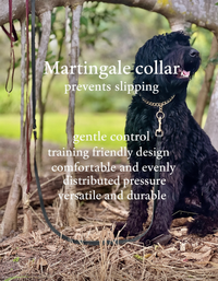 Coordinated Pair - Martingale Collar & Training Leash