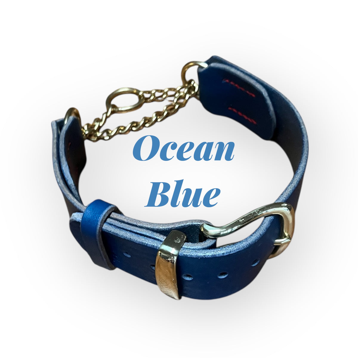 Regal Blue Tuscan Leather Martingale Collar